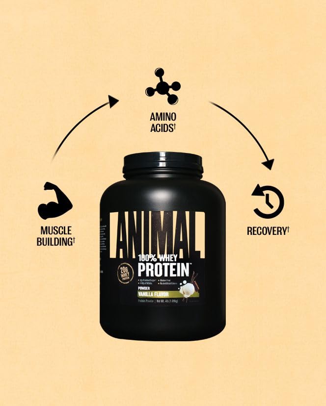 Animal 100% Whey Protein Powder – Whey Blend for Pre Workout or Post Workout